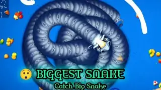 Biggest Snake 💥 | Wormszone.io | Game Of Earthworms | HunterXLive 