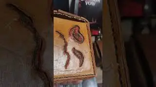 GIVEAWAY SET UP... DECK BOX REVIEW... TOP LOADER SPICEEEENESSS