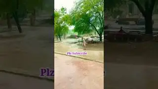weather conditions in south Punjab #punjabtv #whatsappstatus #weather #barish #song #viral