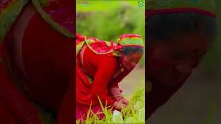 Naanu IASsu Maga - Video Song | Sirivennela | Anand Rajavikram | New Video Song 2025
