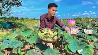 Chef Chea: Delicious Cooking crispy banana recipes,Harvest lotus with countryside 