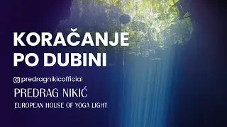 KORAČANJE PO DUBINI | PROF. DR PREDRAG NIKIĆ 