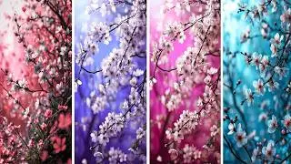 Unique And Amazing Wallpapers | Mobile Wallpapers |Phone Wallpapers |Hd Wallpapers |Wallpaper Photo