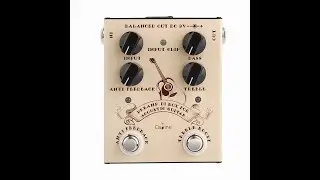 Обзор Caline Acoustic Direct Box CP-40