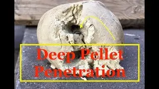 Shooting 1200 fps high power Pellet rifle Mod ( 2019 ) Hard hitting pellets in frozen putty