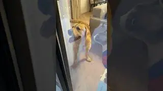 Дени как всегда выручил😁