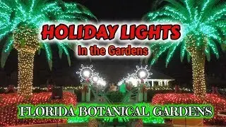 2018 Holiday Lights in the Gardens at Florida Botanical Gardens
