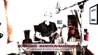 Bury Me Beneath The Willow - Peter Fand