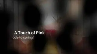 A Touch of Pink