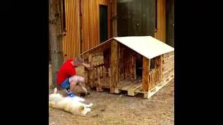 Como fazer casa de cachorro com paletes