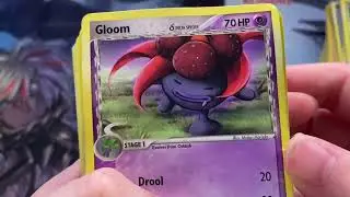 Mystery $858 Pokemon Ebay Lot