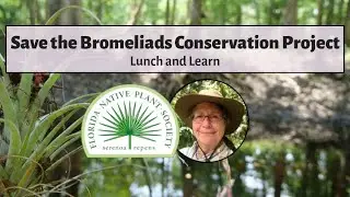 Save the Bromeliads Conservation Program with Martha Pessaro