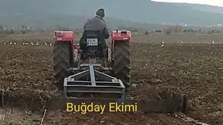 Buğday Ekimi 