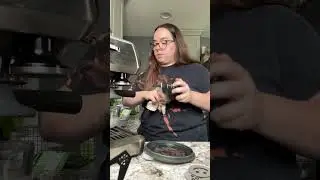 Deep Cleaning my Breville Barista Express