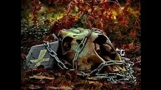 Message to Omega - Hex Blood (official video)