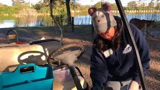 Wildcat Walkabout at Big Cat Rescue 2018 01 14