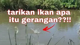 WOW!!!!!!!!!!! THIS FISH ATTRACTION IS AWESOME||LOVE YOU
