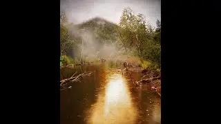 Misty Jungle River | 8 Hours of Rain and Bird Sounds for Sleep, Relaxation and Meditation