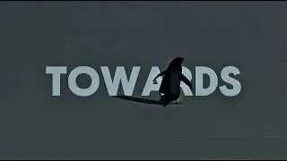 That one penguin edit. 