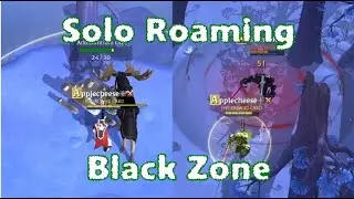 Solo Roaming Black Zone Vol.3 - Albion Online