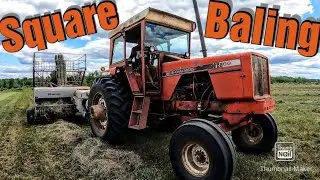 Square Baling Second Crop Hay 2021/Allis Chalmers 200 Tractor on a New Idea Square Baler