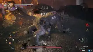 White Tiger Boss Fight (Nioh 2)