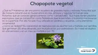 DIGESTION ANAEROBIA