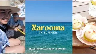 Holiday in Narooma | South Coast