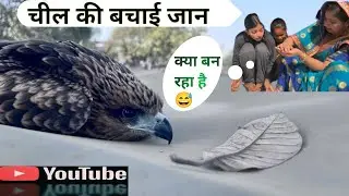 चील की बचाई जान || Spending Time With Family || Zest Life Vlogs
