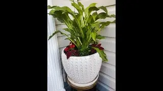 How to: Easy Flower Pot Tutorial| Interior Designer with Southern Care Design: : -Eps 1