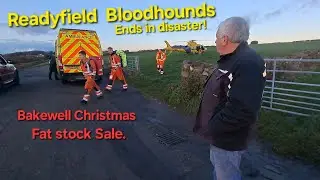 Рождественский жирный запас Readyfield Hounds Bakewell!