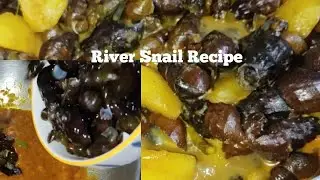 River Snail || Potato Recipe || Edible Food Snail Recipe 