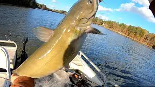 Catfishing lake Greenwood (summertime)