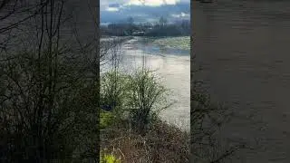 Fiume Lambro in piena #piano #pianomusic #fiume #river #riverside