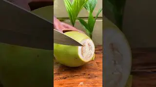 little brown coconut #coconutcutting 🥥🥥🥥🥥