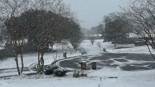 Snow fall in Alabama💎🥶❄️#snowfall#Alabama#weather#snowvideo