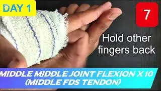 Carpal Tunnel Release, post operative rehabilitation exercises @ 3ezzamy