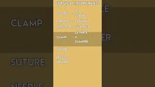 French Medical Vocabulary! Essential Surgical Instruments 🔪🩺