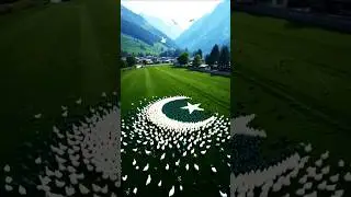 Pakistani Flag Formed by 15,000 Chickens &ndash; Cinematic Drone Shot #3danimation #verlvideo #verl