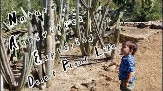Nature activity ideas with kids that calm and develop the mind: Exploring desert plant life