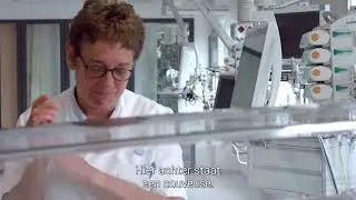 Maak kennis met Dokterhoe