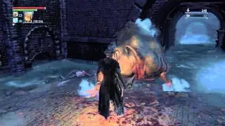 How to anal fist a pig to death BLOODBORNE pig fisting