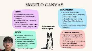 VIDEO PIA PET GROOM PRO EQUIPO 2 LIDERAZGO