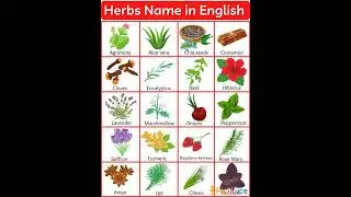 Herbs Name