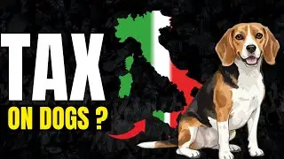 Italy&rsquo;s New Dog Tax Explained: Bolzano&rsquo;s Pet Fee and DNA Poop Fines