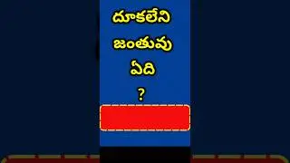 GK in Telugu || GK Quiz || GK Bits || Facts || Interesting Questions || Facts in Telugu || Quiz