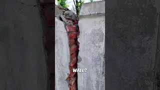 Why Brick Walls Need Water#shorts