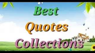 Best Quotes Collections