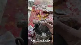 Gelasan layangan kualitas super salatin kimia #gelasanlayangan #gelasansuper #layanganaduan