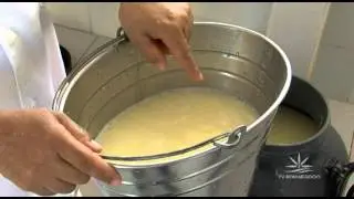 Casa e Comida - Queijo Minas e pão-de-queijo